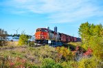 CN 9576 leads 561 at Joseph-Roy treet